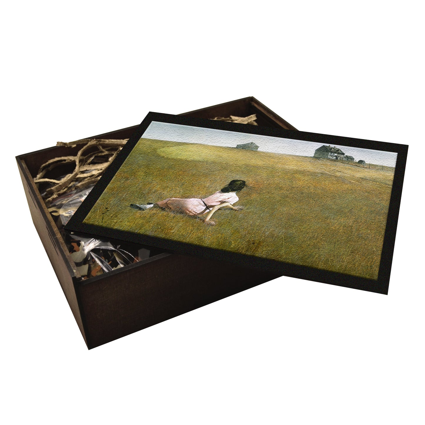 Christina's World by Andrew Wyeth | Wooden Puzzle | Adult Jigsaw | Map Collector gifts